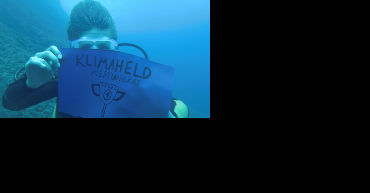 Klimaheld Neptungras Greenpeace