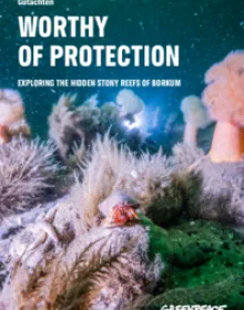 Worthy of Protection - the Hidden Stony Reefs of Borkum