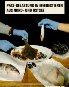 PFAS-Belastung in Meerestieren
