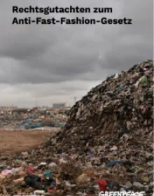 Rechtsgutachten Anti-Fast-Fashion-Gesetz 