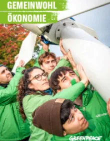 Gemeinwohlökonomie - Flyer