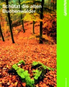 Schützt die alten Buchenwälder [Kurzinfo] | PDF 3,1 MB