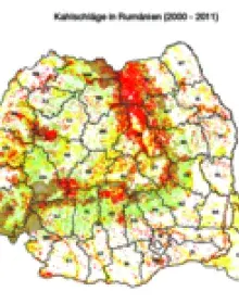Karte: Kahlschläge in Rumänien 