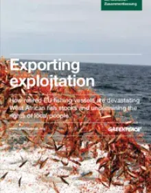 Exporting Exploitation (engl. mit deutscher Zusammenfassung)