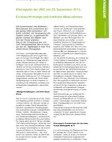 Media briefing zum Klimagipfel