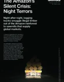 The Amazon's Silent Crisis / Night Terrors