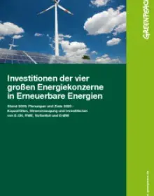 Studie: Investitionen der Energiekonzerne in Erneuerbare Energien