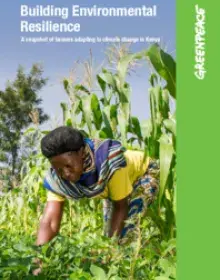 Building Environmental Resilience