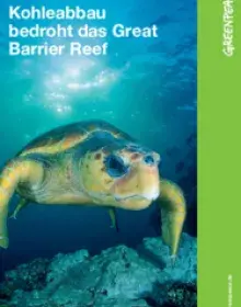 Kohleabbau bedroht das Great Barrier Reef