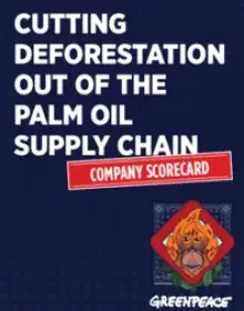 Palmöl: Company-Scorecard