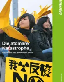 Kurzinfo: Die atomare Katastrophe