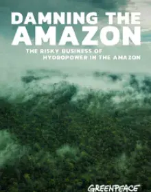 Report: Damning The Amazon