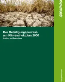 Gutachten: Der Beteiligungsprozess am Klimaschutzplan 2050