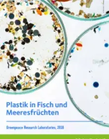 Report: Plastik in Fisch und Meeresfrüchten