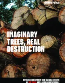 Studie: Imaginary Trees, Real Destruction