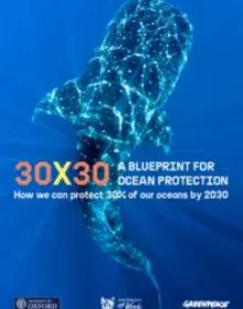 Englischsprachige Studie: A Blueprint for Ocean Protection