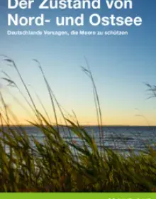 Report: Zustand von Nord- und Ostsee