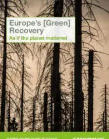 Expert Analysis of the EU's Climate Law