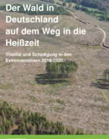 Studie: Der Wald in Deutschland auf dem Weg in die Heißzeit