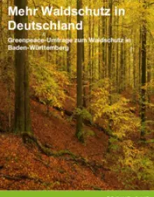 Baden-Württemberg: Greenpeace-Umfrage zum Waldschutz