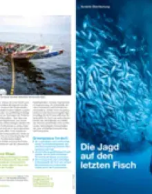 Überfischung beenden – Kurzinfo “Die Jagd auf den letzten Fisch”