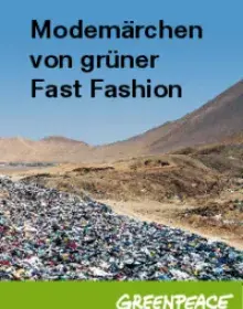  Fast Fashion ist nicht nachhaltig – Kurzinfo
