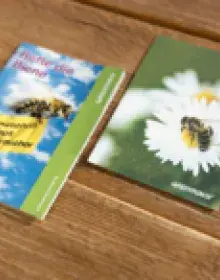 Bienen schützen  – Ratgeber zum Bestellen