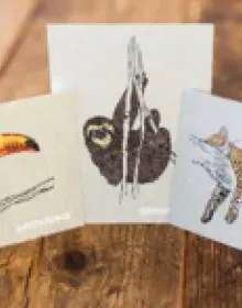  Amazonas schützen – Postkartenset zum Bestellen