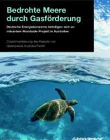 Bedrohte Meere durch Gasförderung - Deutsche Zusammenfassung