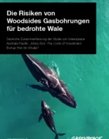 Risiken von Woodeside Gasbohrungen für bedrohte Wale – Studie