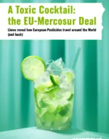 Report. A Toxic Cocktail. EU-Mercosur Deal.pdf