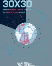 30x30 From Global Ocean Treaty to Protection at Sea 