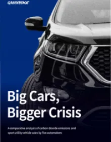 Big Cars, Bigger Crisis