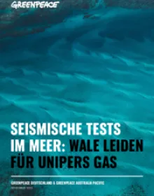 Seismische Tests im Meer.pdf