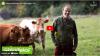 Screenshot vom Video: Klimakläger Ulf Allhoff-Cramer auf einer Weide mit Kühen