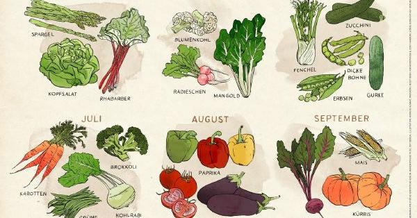 Aktionspaket Poster Gemüse der Saison | Greenpeace