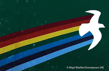 Das Logo des Greenpeace-Segelschiffs 'Rainbow Warrior III'.